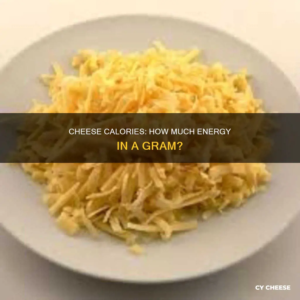 how many calories in 1 gram of cheese
