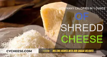 Cheese Lovers: Know Your Calories