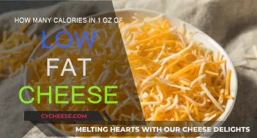 Cheese Lovers: Know Your Low-Fat Calories!