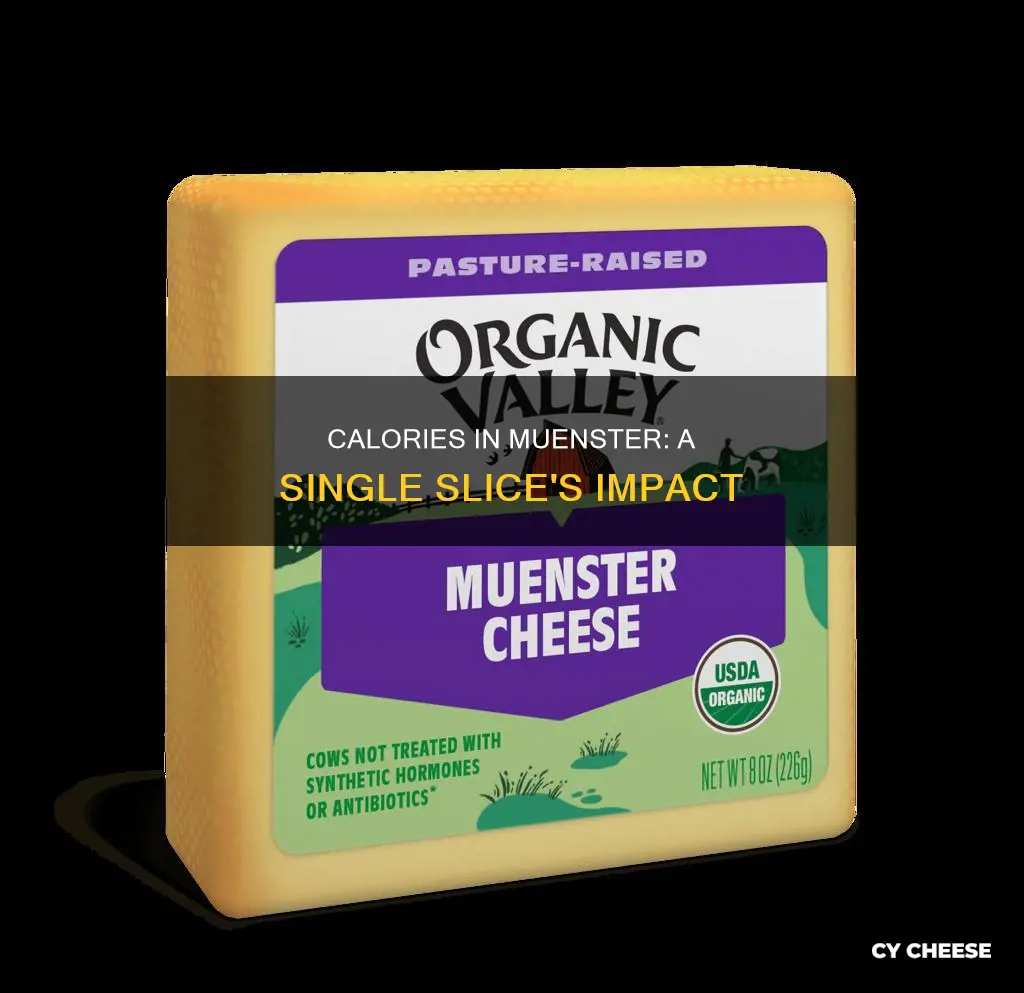 how many calories in 1 slice of muenster cheese