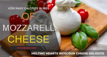 Calorie Count: Mozzarella Cheese, 100g Portion
