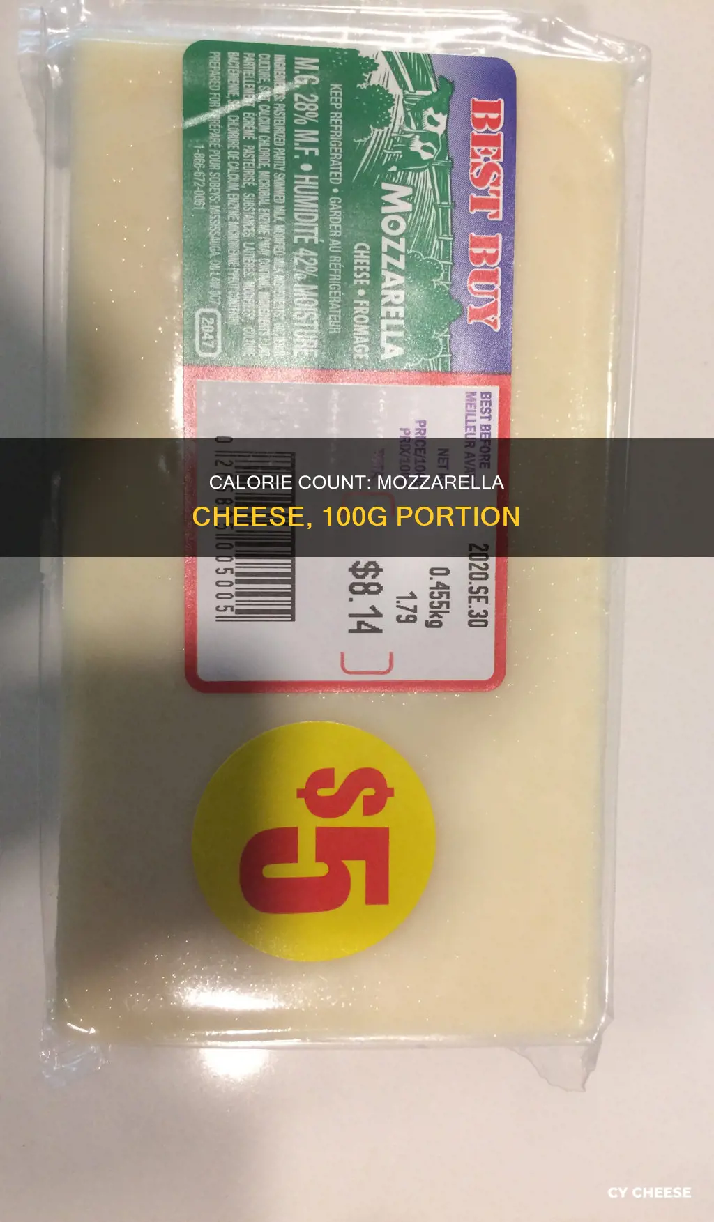 how many calories in 100g of mozzarella cheese