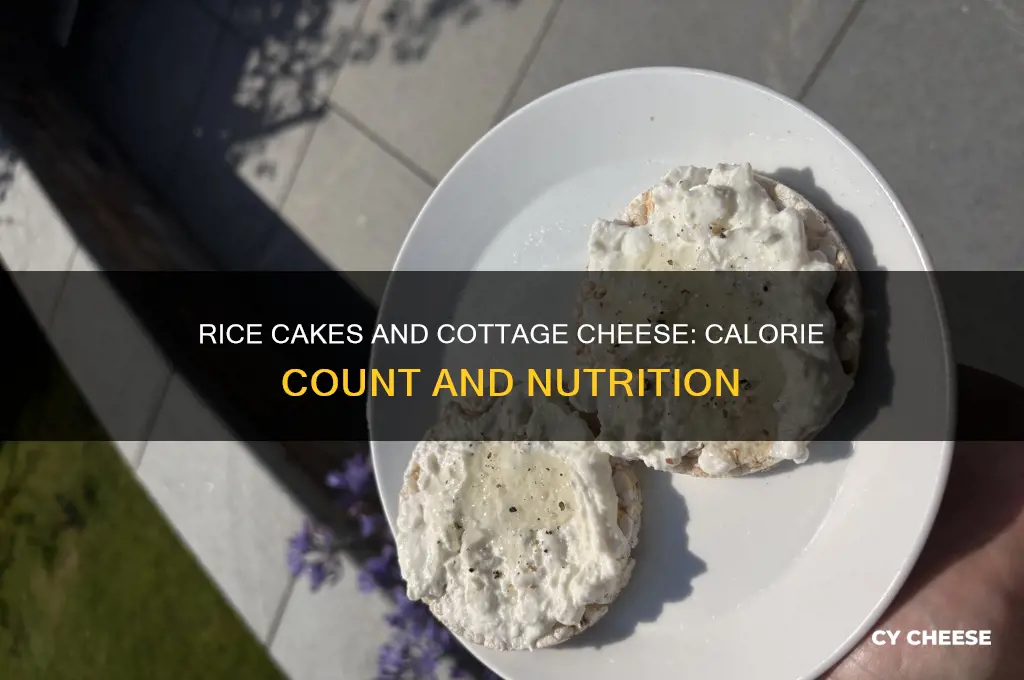 how many calories in 2 rice cakes with cottage cheese