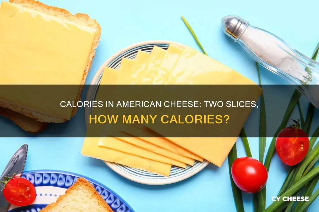 how many calories in 2 slices of deli american cheese