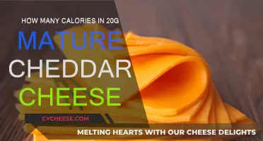 Calorie Count: 20g of Cheddar Cheese