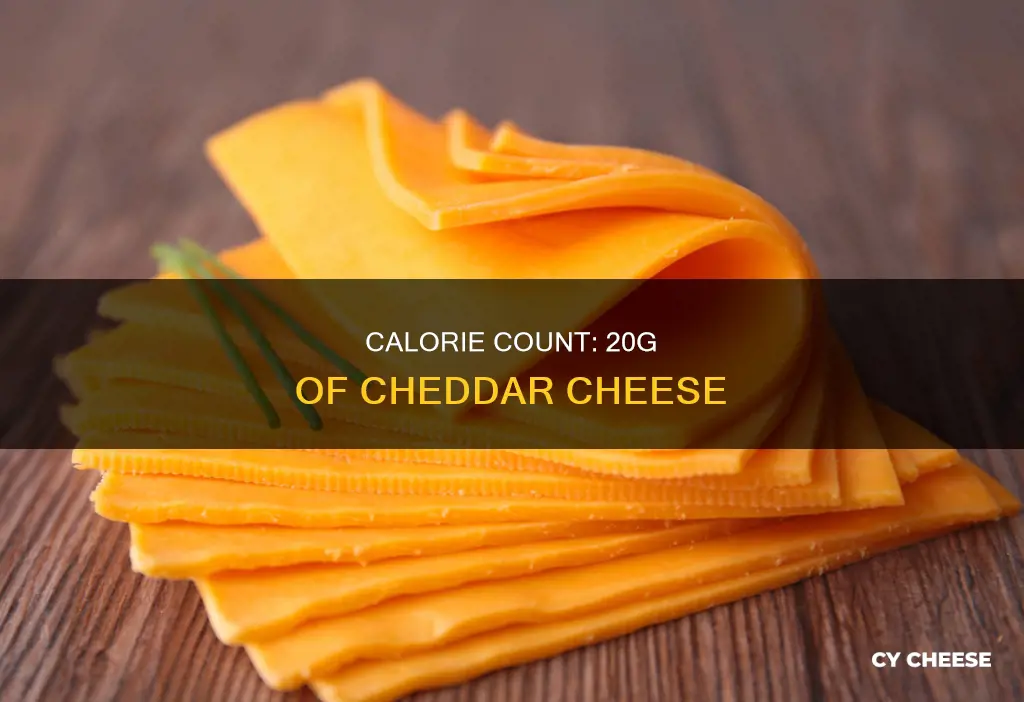 how many calories in 20g mature cheddar cheese