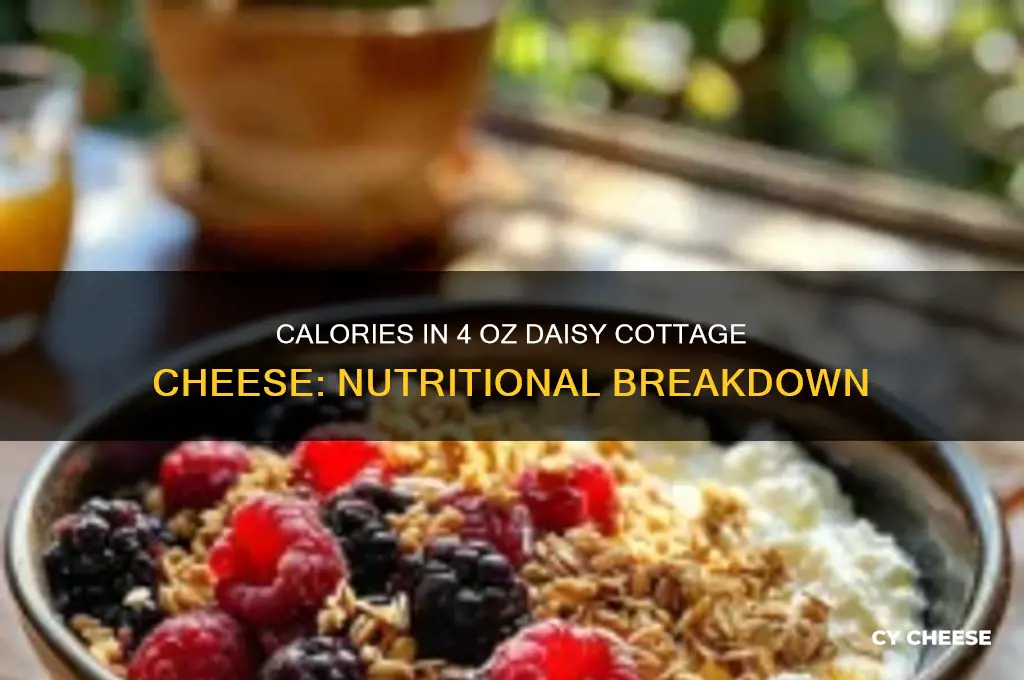 how many calories in 4 oz of daisy cottage cheese