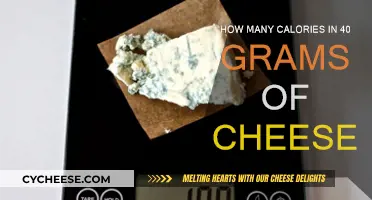Cheese Calories: 40 Grams Equals How Much?