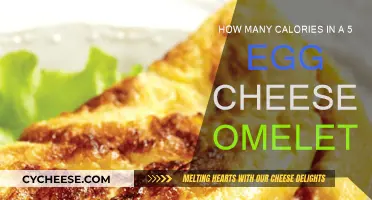 Calorie-Rich Breakfast: Five-Egg Cheese Omelette