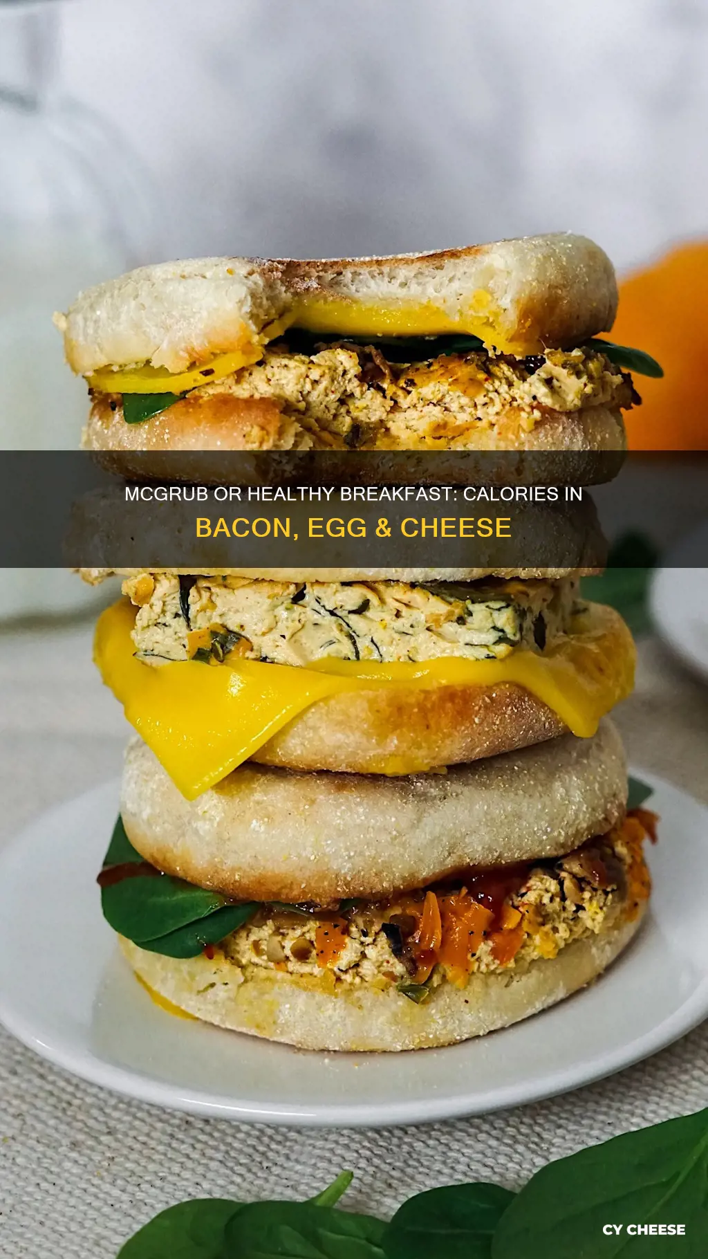 how many calories in a bacon egg and cheese mcgriddle