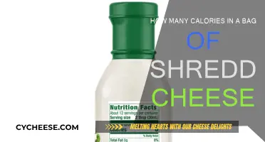 Cheese Lovers: Know Your Calorie Count!