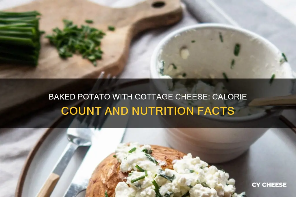 how many calories in a baked potato with cottage cheese