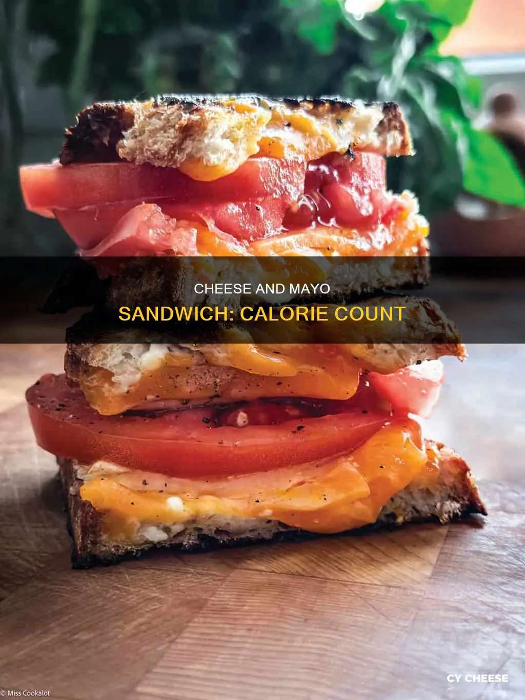 how many calories in a cheese and mayo sandwich