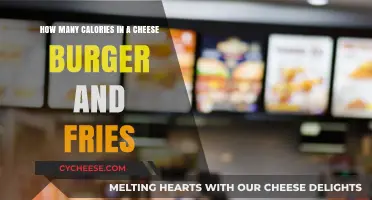 Cheese Burger and Fries: Calorie Count Revealed