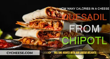 Calorie Count of Chipotle's Cheesy Quesadilla