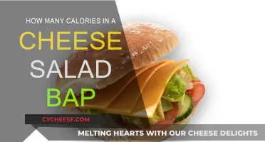 Cheese Salad Bap: Calorie-Counting Conundrum