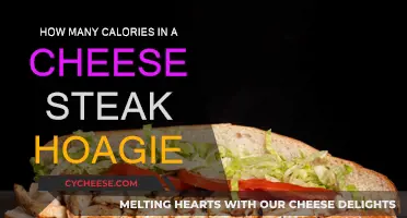 Cheese Steak Hoagie: Calorie Count and Nutrition Facts