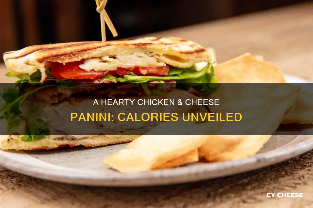 how many calories in a chicken and cheese panini