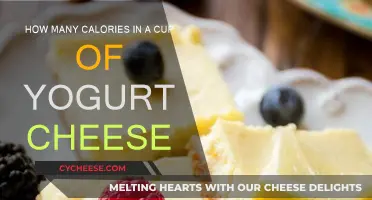 Yogurt Cheese: A Healthy, Low-Calorie Snack Option