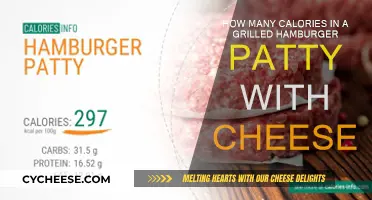 Calorie Count of a Cheesy, Grilled Hamburger Patty