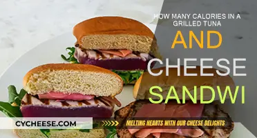 Tasty Tuna Melt: Calories in a Grilled Sandwich