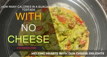 Guacamole Tostada Calories: Cheese-Free Crunchy Delight