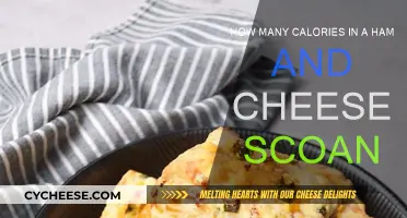 Calorie Count of a Ham and Cheese Croissant