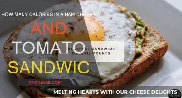 Calorie Count: Ham, Cheese, and Tomato Sandwich