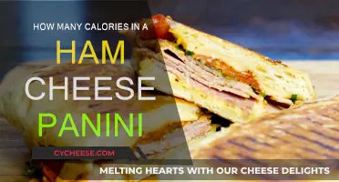 A Hearty Ham-Cheese Panini: Calories Unveiled