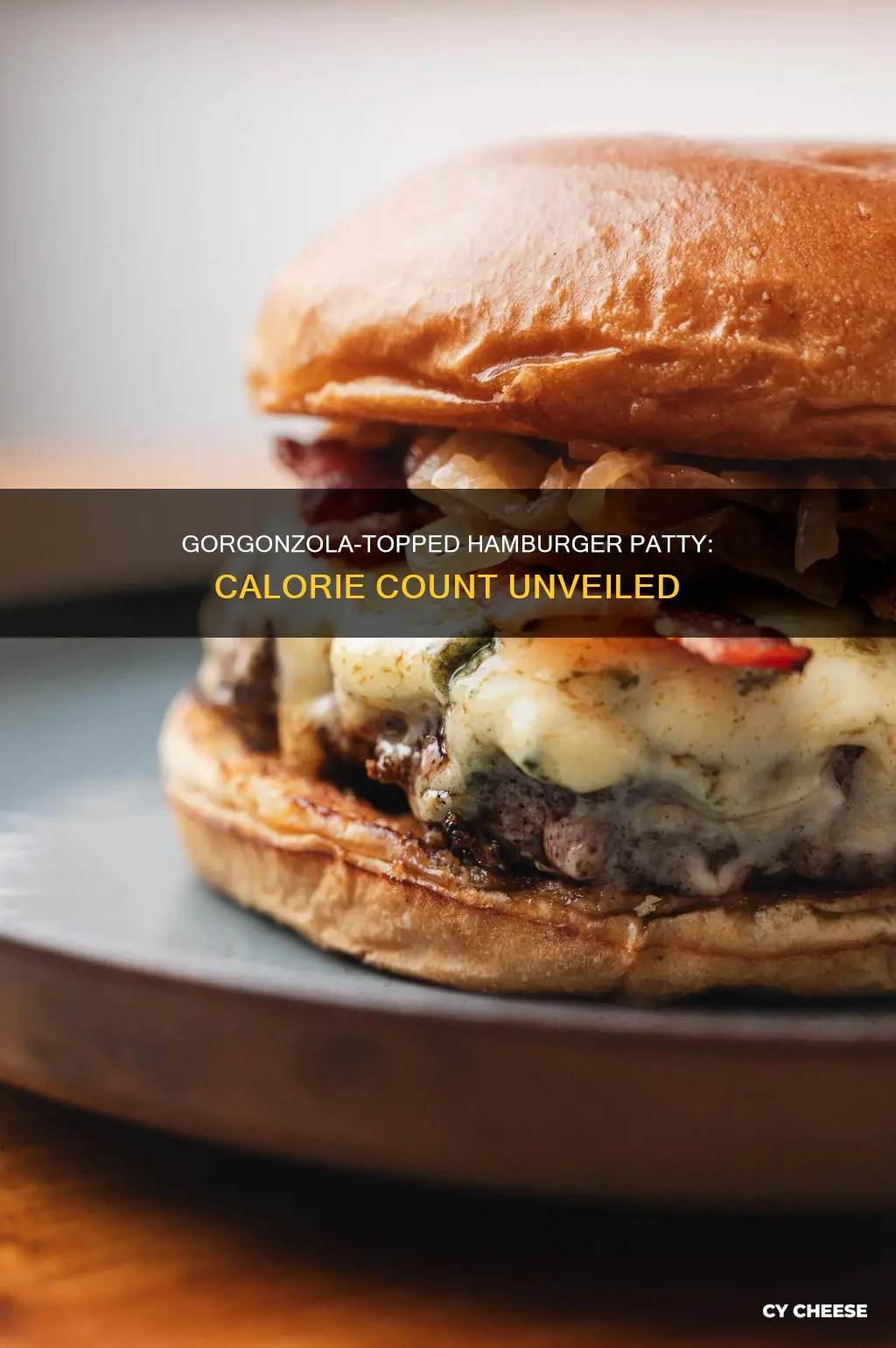 how many calories in a hamburger patty with gorgonzola cheese