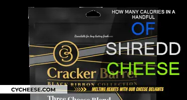 Cheese Lovers: Know Your Calories Intake