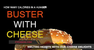 Calorie Count of a Hunger Buster With Cheese