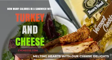 Calories in a Turkey and Cheese Sandwich