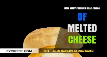 Cheese Connoisseurs: Know Your Calories