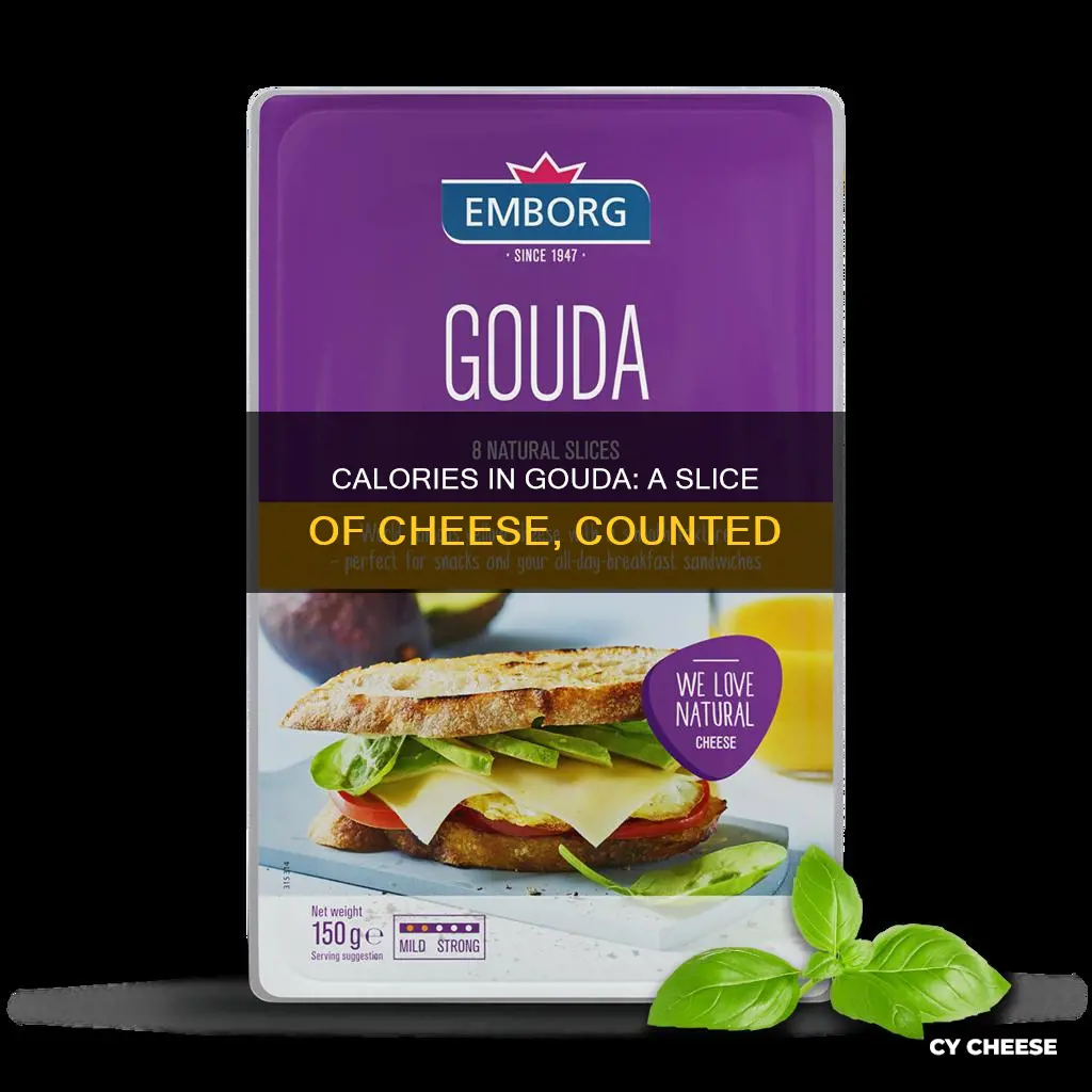 how many calories in a slice of gouda cheese
