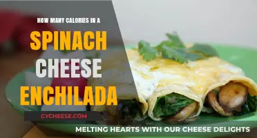 Spinach Cheese Enchilada: Calorie Count and Nutrition Facts