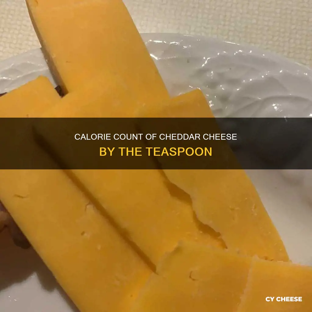 how many calories in a tsp of cheddar cheese