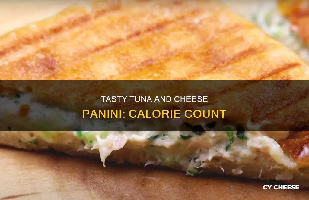 how many calories in a tuna and cheese panini