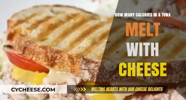Tasty Tuna Melt: Counting the Calories
