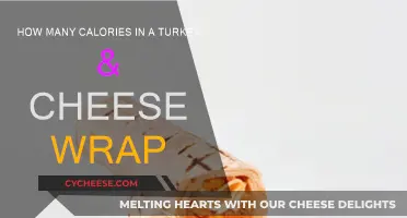 Calorie Count of a Turkey & Cheese Wrap