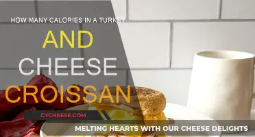 Calorie Count: Turkey, Cheese, and Croissant