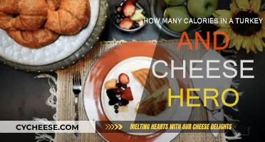 Calories in a Turkey and Cheese Hero: The Truth