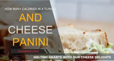 Delicious Turkey-Cheese Panini: How Many Calories?