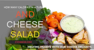 Calorie Count for Turkey, Cheese, and Salad