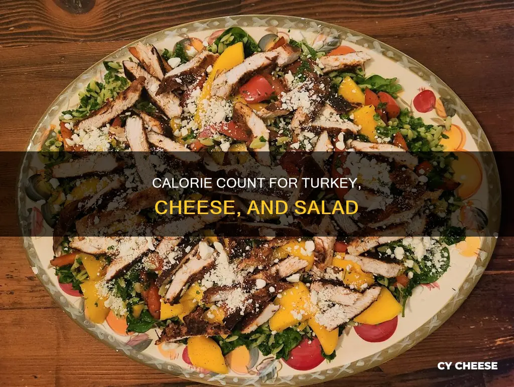 how many calories in a turkey and cheese salad