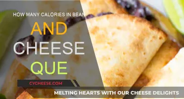 Calorie Count of Bean and Cheese Quesadillas