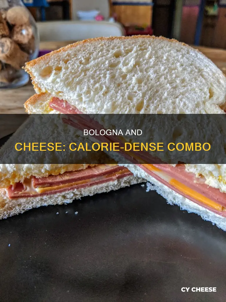 how many calories in bologna and cheese