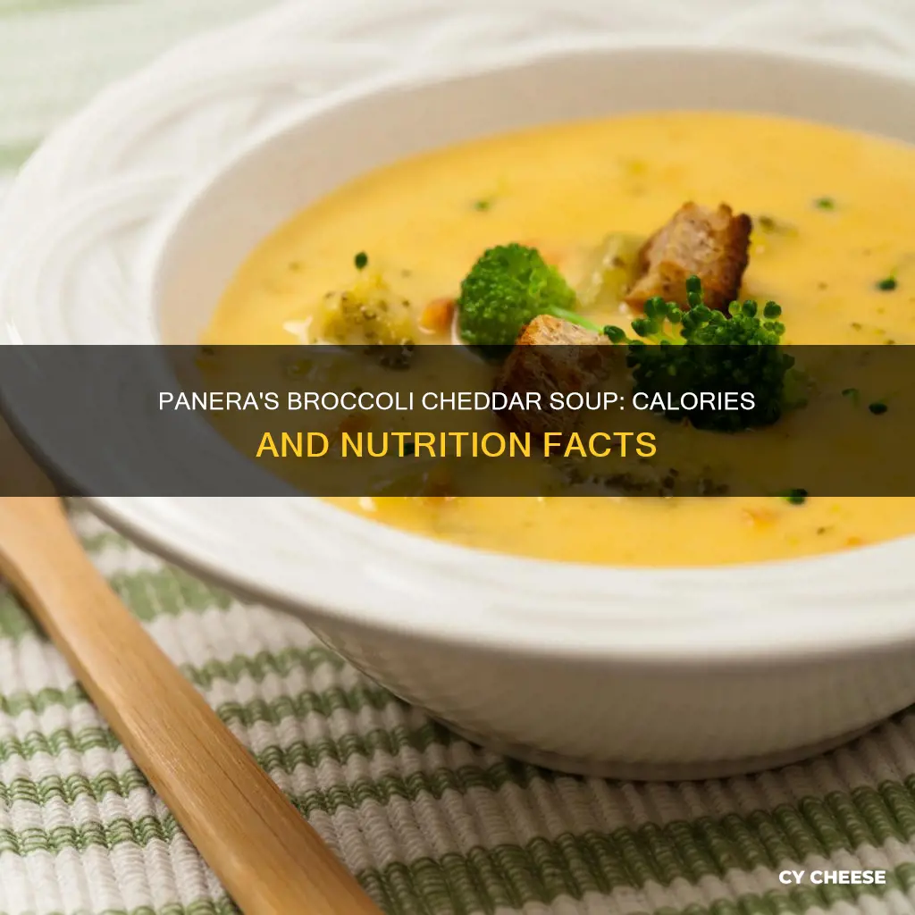 how many calories in broccoli and cheese soup from panera