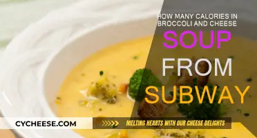 Calorie Count of Subway's Broccoli Cheese Soup