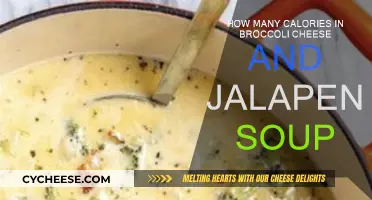 Calorie Count for Broccoli Cheese Soup With Jalapeno